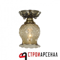 Cпот (точечный светильник) Favourite Parma 1386-1U
